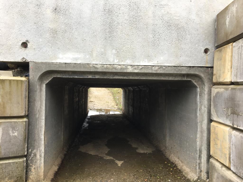 Cow Underpass